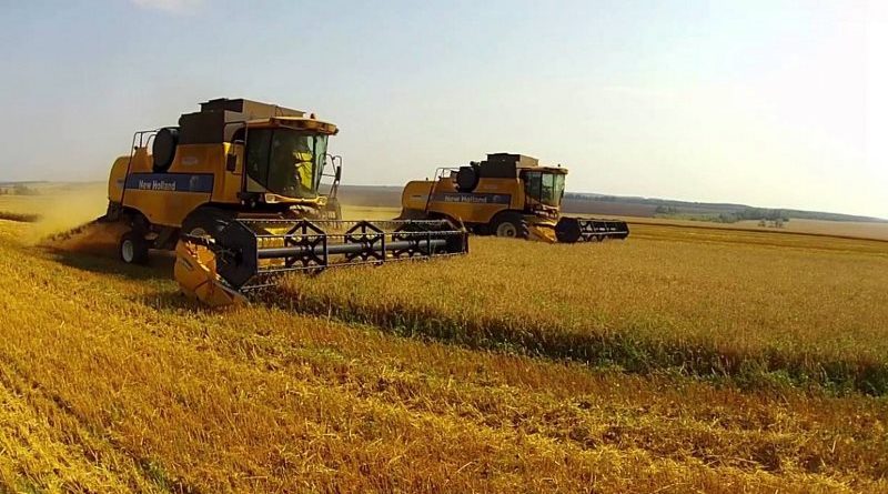 Ukraine harvested record high crop of early grains and pulses - Leshchenko -