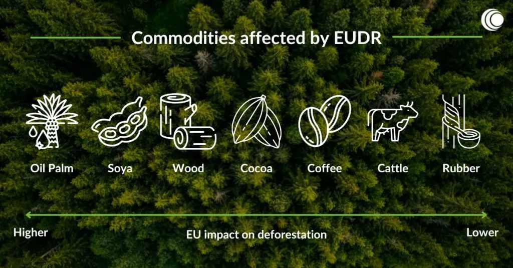 У ЄС створили коаліцію для впровадження правил EUDR